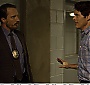 Filename=009.jpg
Filesize=515KiB
Dimensions=1800x1200
Date added=Jun 03, 2025 009.jpg
