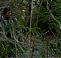 Filename=0656.jpg
Filesize=291KiB
Dimensions=1920x1080
Date added=Sep 18, 2017 0656.jpg