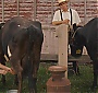 Filename=459.jpg
Filesize=247KiB
Dimensions=1920x1040
Date added=Jun 23, 2025 459.jpg