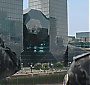 203.jpg