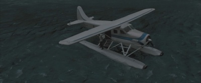 359.jpg