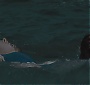 378.jpg