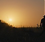 Filename=103.jpg
Filesize=131KiB
Dimensions=1920x1080
Date added=Aug 24, 2018 103.jpg