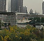 113.jpg